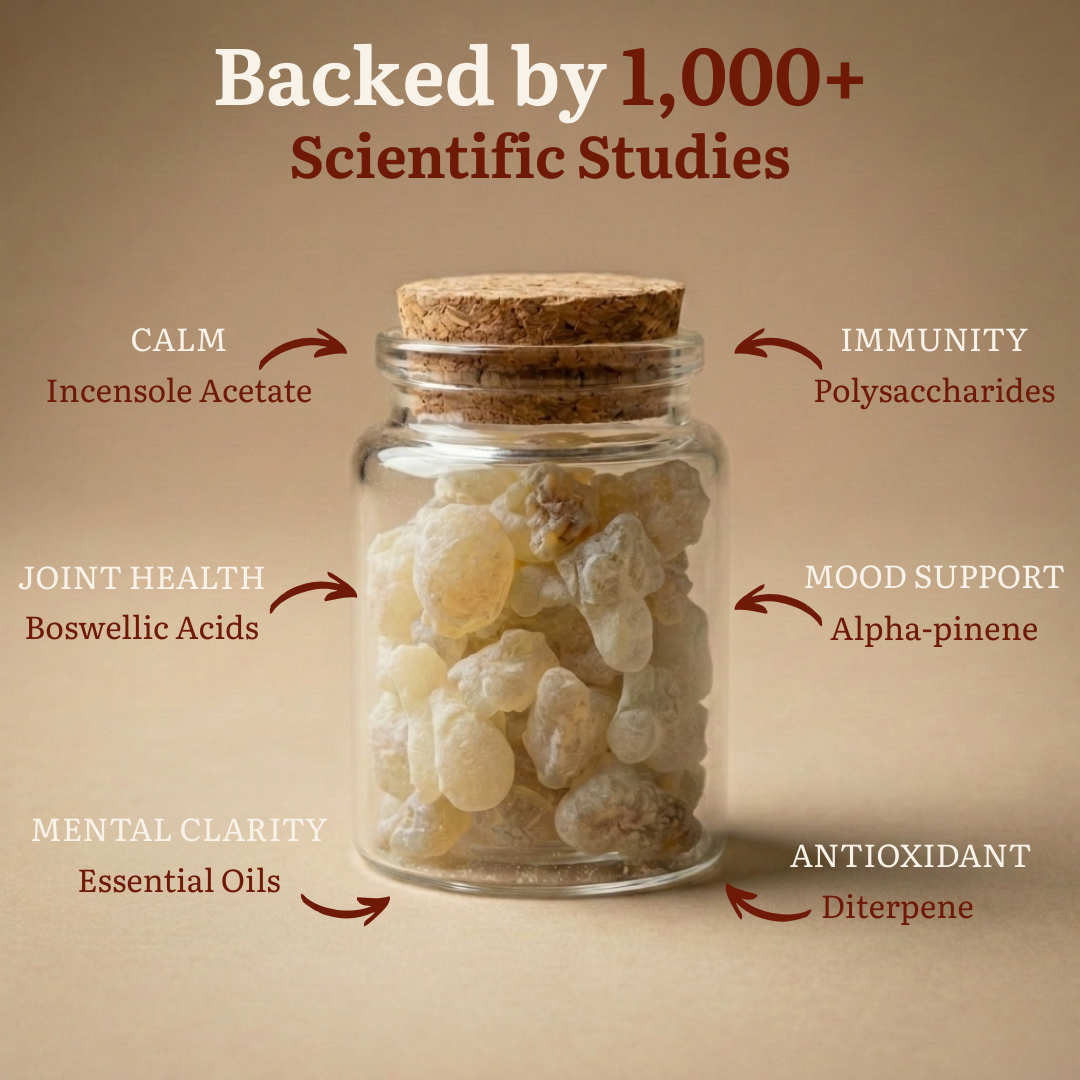 Orilyan Encens Premium – Résine de Boswellia Sacra 100% Pure