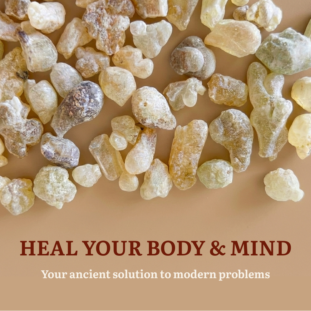 Orilyan Encens Premium – Résine de Boswellia Sacra 100% Pure