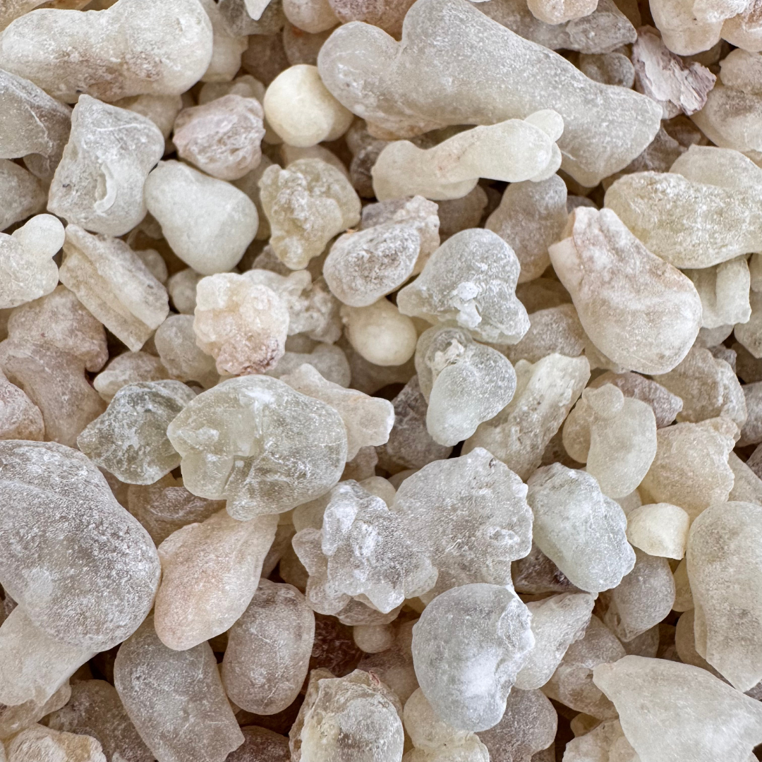 Orilyan 100% Hodjari Frankincense Boswellia Sacra
